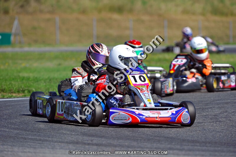 DSC_ (1273).jpg